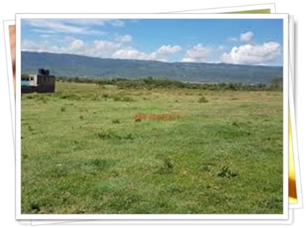 Real Estate Plots Advertised ...