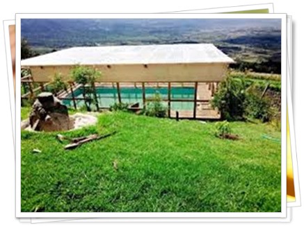 Real Estate Shambas Advertised ...