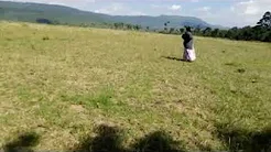 Plot (50 x 100) in Rare approximately 4.5km from Maai Mahiu