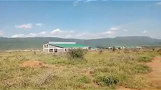 Plot for sale in Rare near Muhindi Land